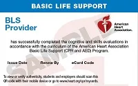 BLS Provider eCard サンプル