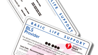 BLS資格の更新・有効期限について - NPO法人日本ACLS協会 ガイド BLS資格の更新・有効期限について - NPO法人日本ACLS協会 ガイド